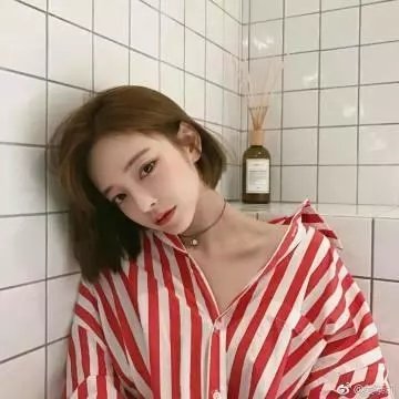 但愿人长久
